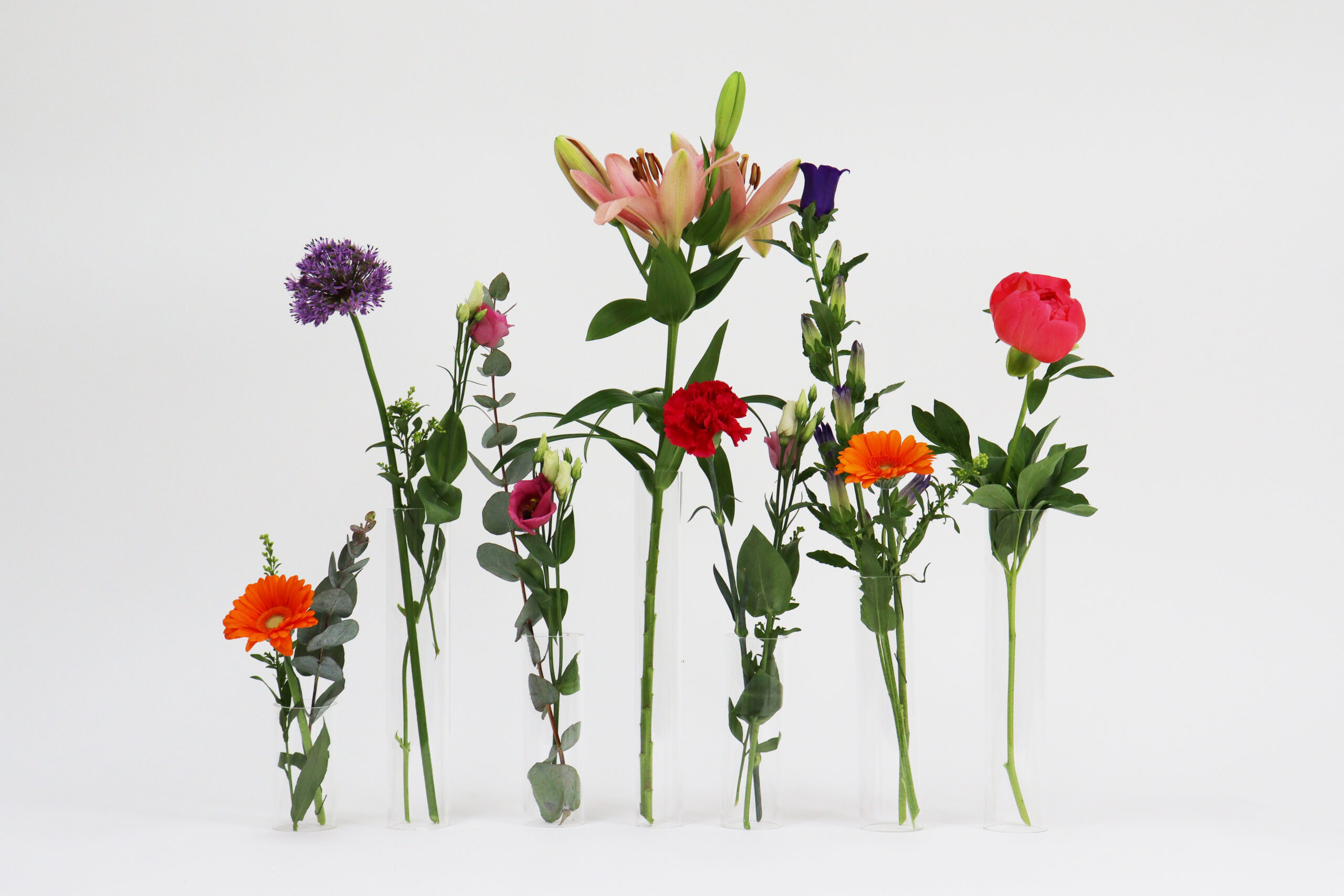 Plexiglas buis vaasjes