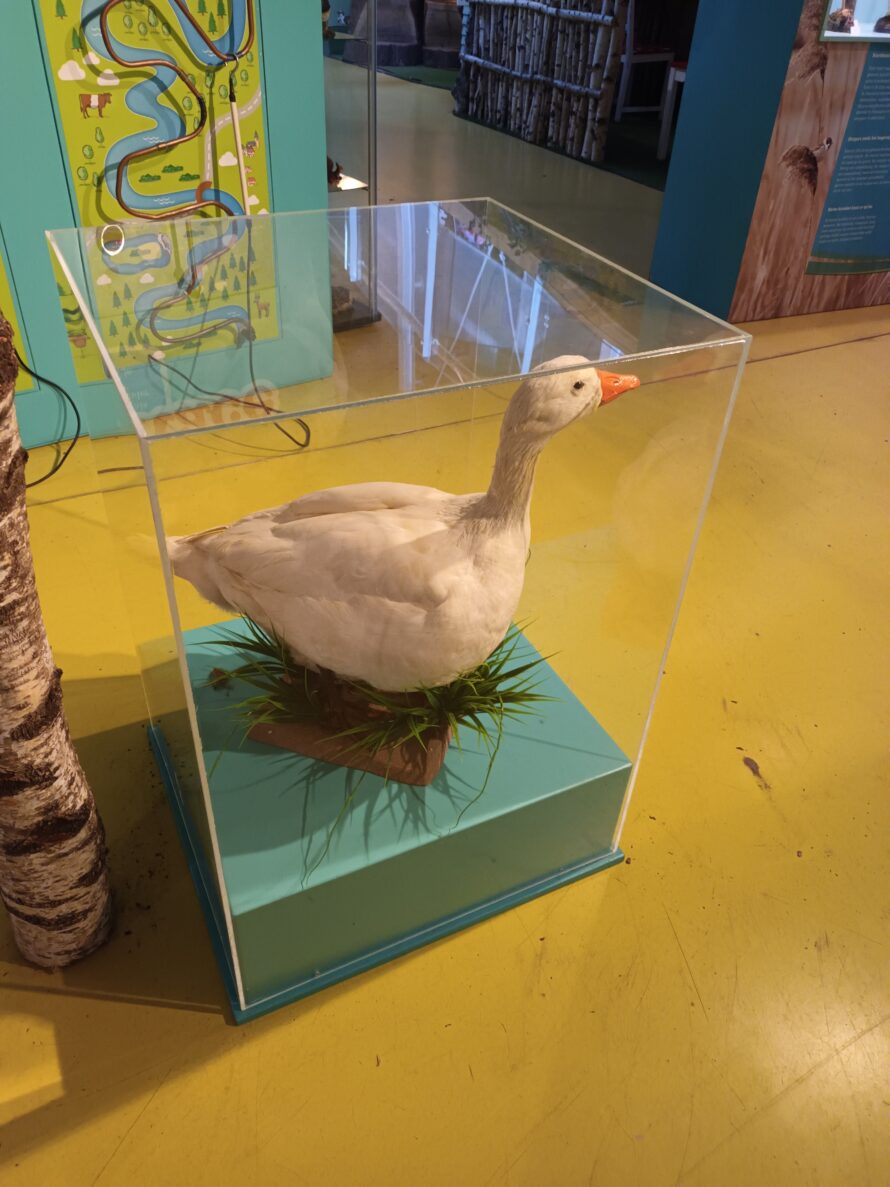 plexiglas stofkap box op maat