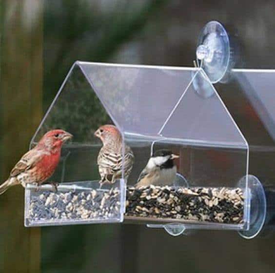Vogelhuisje van plexiglas
