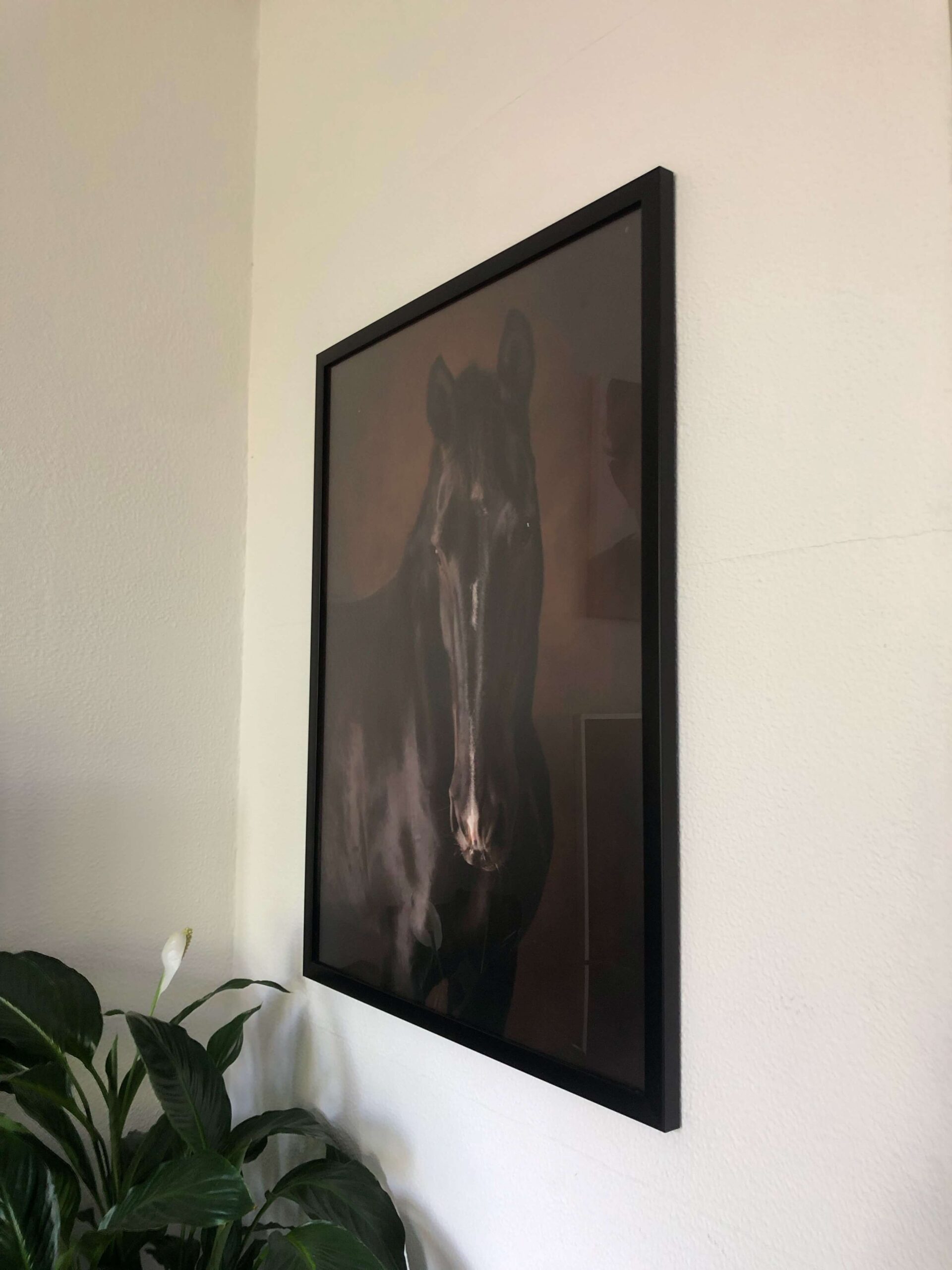 Fotolijst ontspiegeld plexiglas op maat