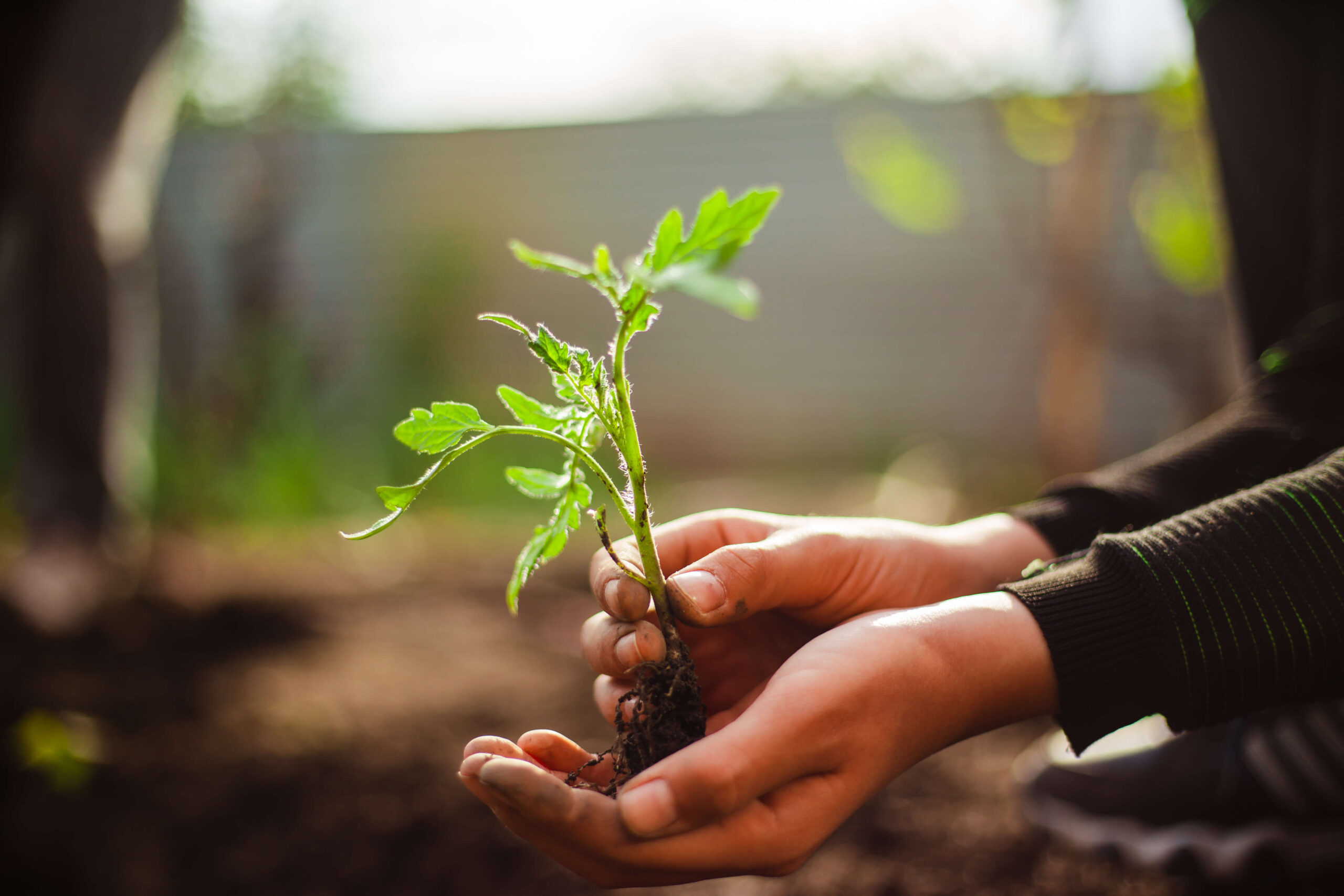 Tuinkas kunststof groene vingers