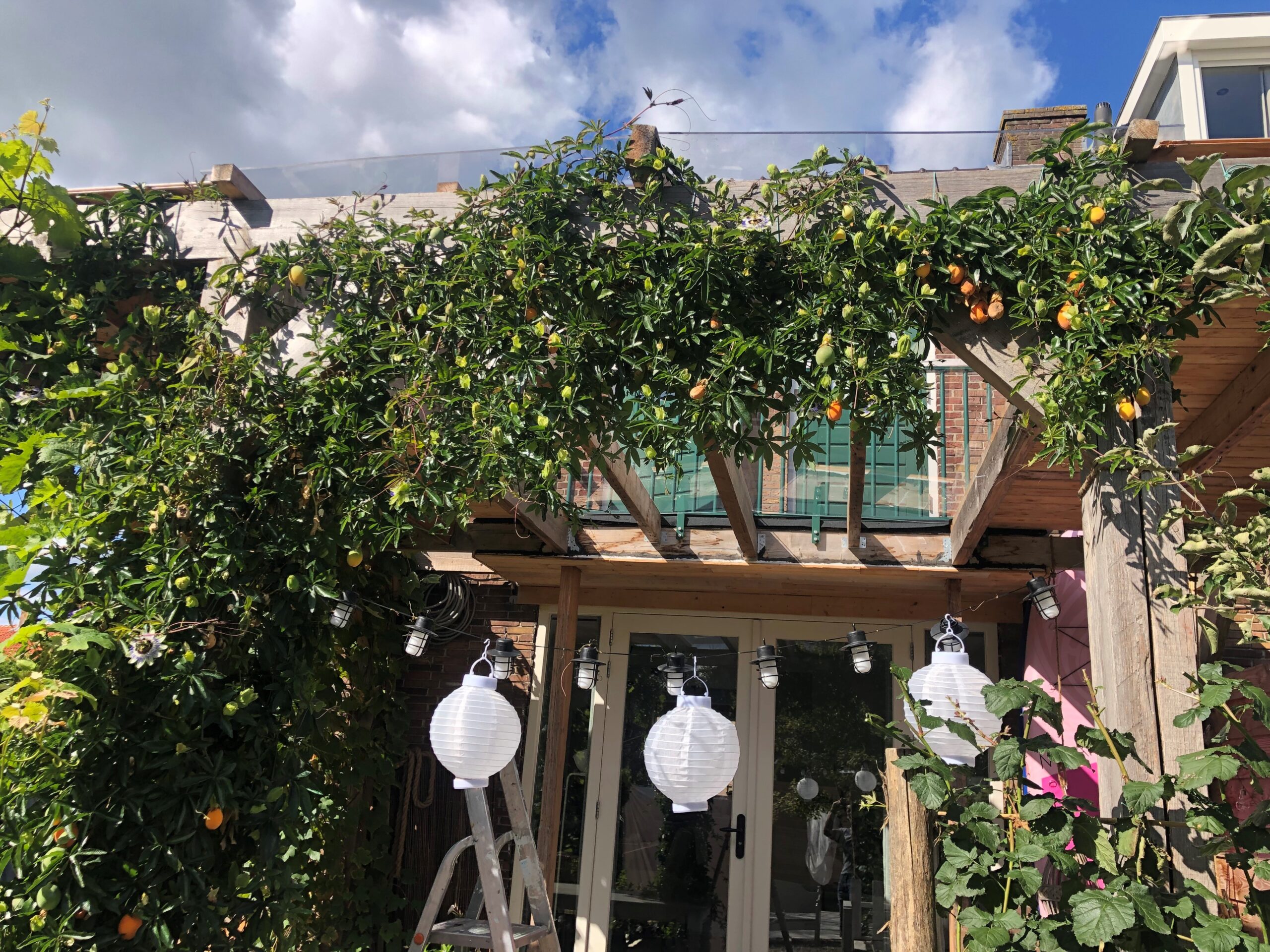 plexiglas helder overkapping