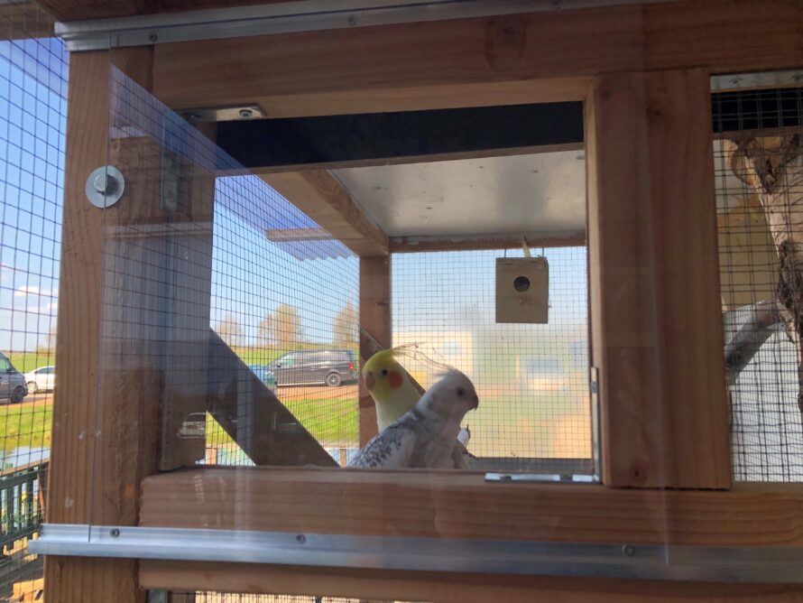 PMMA kunststof voorzetglas dierenverblijf