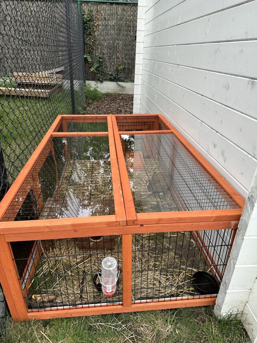 Helder plexiglas platen konijnenhok