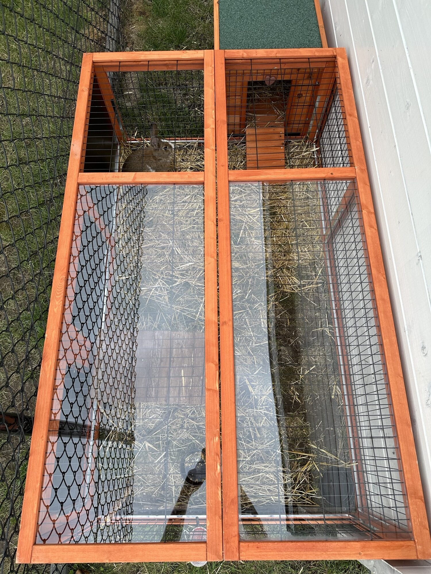 Heldere plexiglas platen konijnenhok