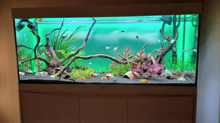 Plexiglas platen aquarium